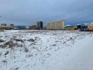 Целевой фонд будущих поколений: место для нового парка не является сибироязвенным скотомогильником