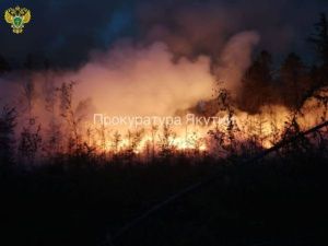 В Якутии с виновника лесного пожара взыскали средства на его тушение - 500 000 рублей