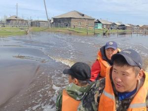 Сотрудники МЧС спасли жизнь корове