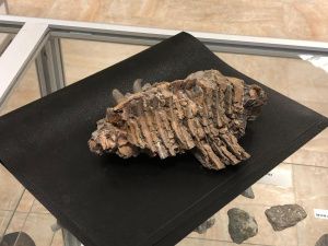 Айсен Николаев встретился с педагогическим коллективом и учащимися общеобразовательной школы в посёлке Витим   