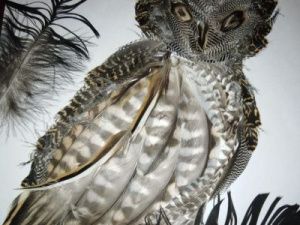 Фотофакт: Удивительные картины из утиных перьев создаёт жительница Оймяконья