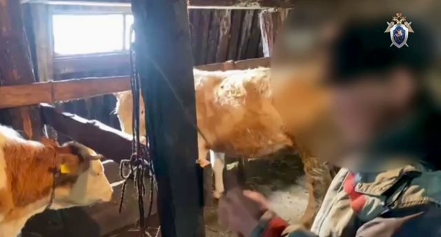 Двое жителей Якутии предстанут перед судом по обвинению в использовании рабов