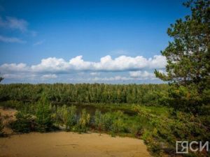 Обнаружены следы пропавшего с места тушения пожара мужчины