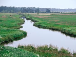 Айсен Николаев провел выездное совещание по кормозаготовительной кампании в заречной группе районов