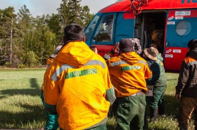ФАС не выявила нарушений в закупках «Авиалесоохраны», которую обвиняли в коррупции