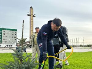 Голубые ели высадили на площади Победы в Якутске