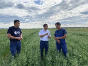 В Чурапчинском улусе привлекли агитбригаду для поддержки овощеводов и сенокосчиков