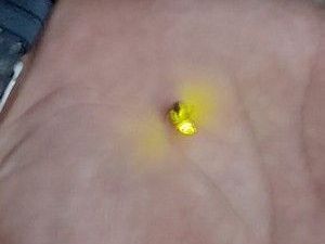 В Олёкминском районе появились «живые фонарики»