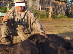 Фотофакт: В одной из деревень Ленского района пристрелили медведя