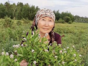 Врачебные тайны