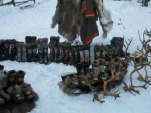 Житель Чукотки обманул якутянку, которая хотела купить у него оленьи камусы