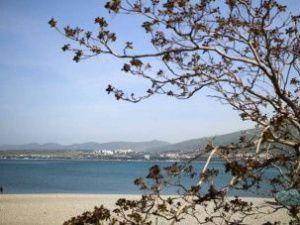 В СМИ опубликовали репортаж из «дворца» в Геленджике