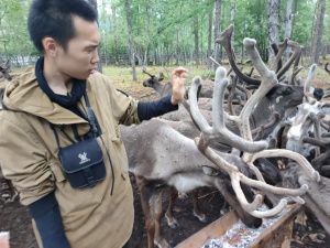 Битва с медведем, роды в чуме и другая цивилизация: история династии оленеводов Погодаевых