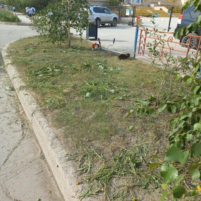 Прогноз погоды в Якутске и республике на 10 июля