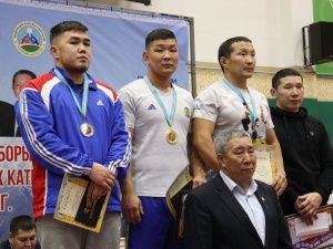 Борцы Тимур Николаев и Никита Софронов завоевали титулы абсолютных чемпионов турнира Ноговицыных