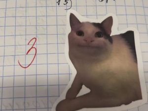 Якутская учительница с котонаклейками: «Креативность и творчество нужны в школе»