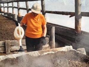 В Чурапчинском улусе запущен пилотный проект по поддержке населения