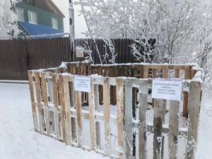 Пункт сбора новогодних ёлок открылся в Якутске