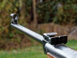 Мужчина, стрелявший по прохожим с балкона в Якутске, пойдет под суд