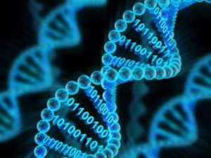 В России будут собирать ДНК у всех подозреваемых и осужденных