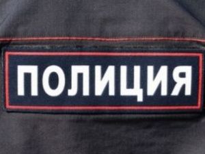 В Якутске украли бензопилу