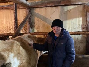 В Якутии теленка назвали необычным именем «Правительство» в честь отчета правительства республики