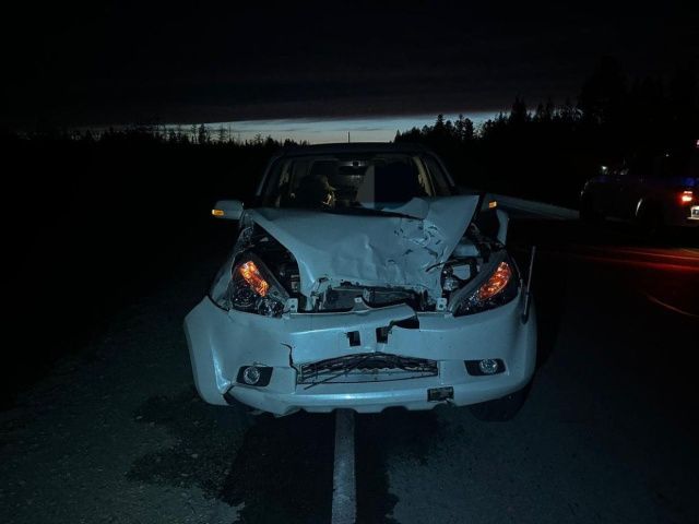 В Горном улусе иномарка сбила насмерть двух жеребят