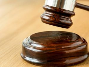 Суд взыскал с предпринимателя 70 тысяч рублей за вред, причинённый безнадзорными собаками в Мирном