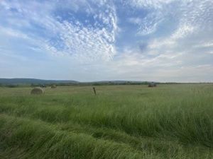 В Чурапчинском улусе определят победителей соревнований между наслегами по заготовке сена