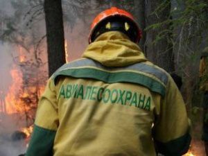 47 авиапожарных из Амурской области прибудут в Якутию на тушение пожаров