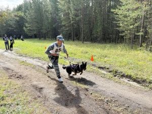 В Якутске прошли соревнования среди служебных собак