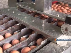 Нерюнгринская птицефабрика задолжала кредиторам более миллиарда рублей