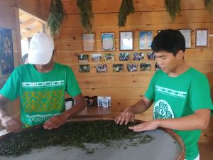 Компания «СахаЧай» открыла новый цех по производству чая