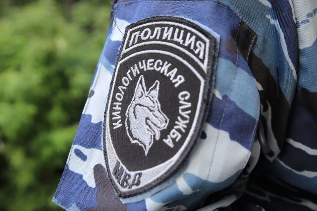 К 110-летию со дня образования  кинологической службы МВД России: Напарники. По следам преступников 