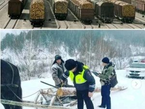 Якутянина осудили за спиленные на дрова лиственницы, конфисковали трактор, бензопилу и 12 кубометров дров