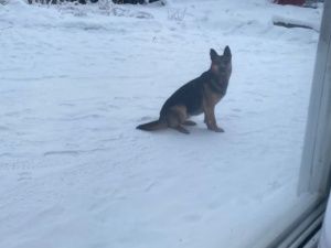 Прогноз погоды на 23 января