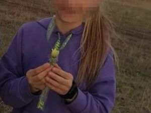 В Жатае чипированная собака едва не отгрызла ногу ребенку — Телеграм