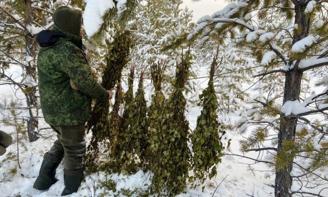 А ну, кому веники с солью? Налетай, лесной народ!