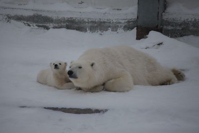 40-градусные морозы могут прийти уже на следующей неделе