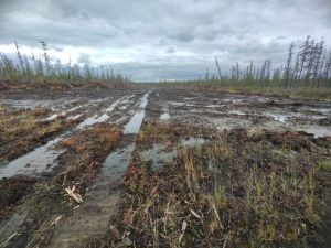 Возбуждено уголовное дело о превышении должностных полномочий при обустройстве противопожарной полосы в Абыйском улусе