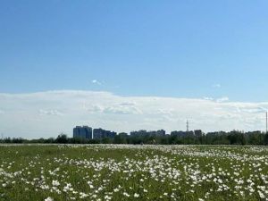 Прогноз погоды на 23 июля: В Якутске без осадков, жара