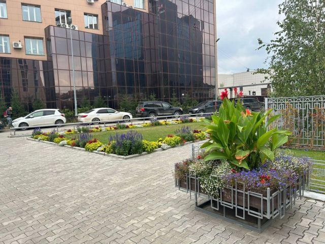 В столице выясняют, чей двор зеленее