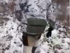 Браконьерство с вертолета: появились первые подозреваемые?