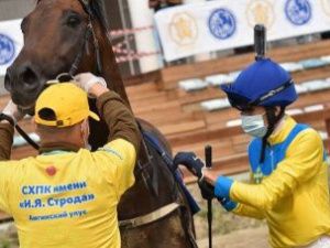 Скакун из Якутии выиграл дебютные скачки в Москве