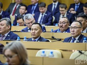 Парламентарии Якутии поддержали законопроект о безнадзорных животных