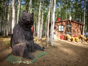 Городской парк Мирного готовится к масштабному благоустройству