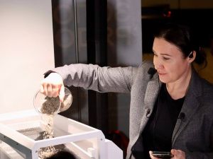 «Золото рядом»: в Якутске открылась выставка, посвященная драгоценному металлу