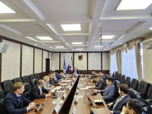 Президиум гордумы рассмотрел отчеты и утвердил планы работ пяти постоянных комиссий