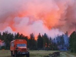 21 линия электропередачи пострадала от лесных пожаров в Якутии