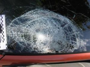 17-летний якутянин разбил кулаком лобовые стекла такси